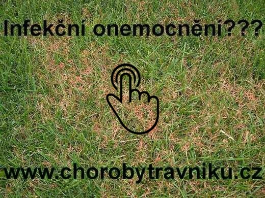Infekční onemocnění trávníku